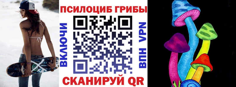 Купить  Спас-Клепики  Псилоцибиновые грибы MAGIC MUSHROOMS 